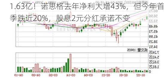 1.63亿！诺思格去年净利大增43%，但今年首季跌近20%，股息2元分红承诺不变