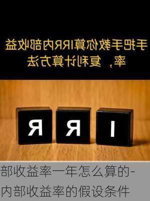 部收益率一年怎么算的-内部收益率的假设条件