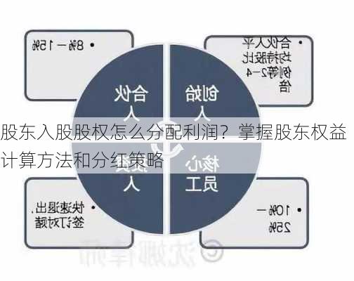 股东入股股权怎么分配利润？掌握股东权益计算方法和分红策略