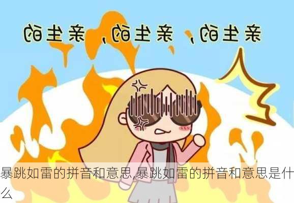 暴跳如雷的拼音和意思,暴跳如雷的拼音和意思是什么