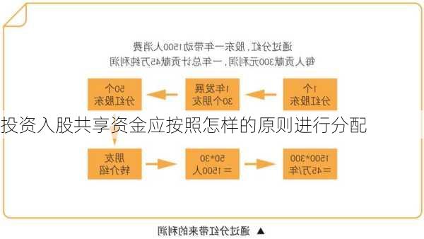 投资入股共享资金应按照怎样的原则进行分配