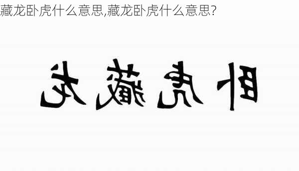 藏龙卧虎什么意思,藏龙卧虎什么意思?