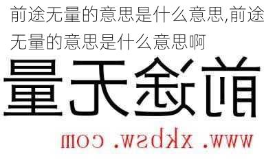 前途无量的意思是什么意思,前途无量的意思是什么意思啊