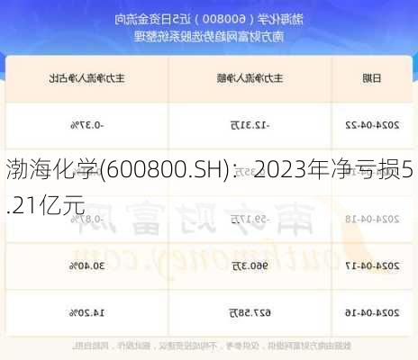 渤海化学(600800.SH)：2023年净亏损5.21亿元