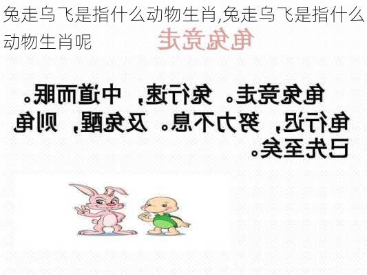 兔走乌飞是指什么动物生肖,兔走乌飞是指什么动物生肖呢