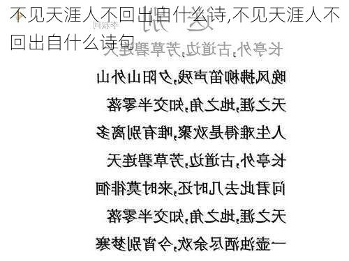 不见天涯人不回出自什么诗,不见天涯人不回出自什么诗句