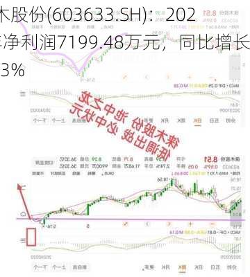 徕木股份(603633.SH)：2023年净利润7199.48万元，同比增长5.33%