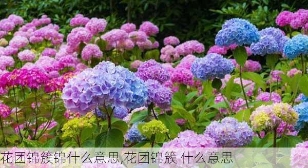 花团锦簇锦什么意思,花团锦簇 什么意思