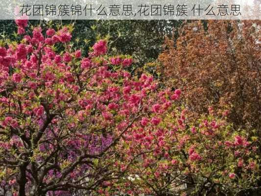 花团锦簇锦什么意思,花团锦簇 什么意思