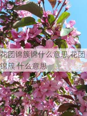 花团锦簇锦什么意思,花团锦簇 什么意思