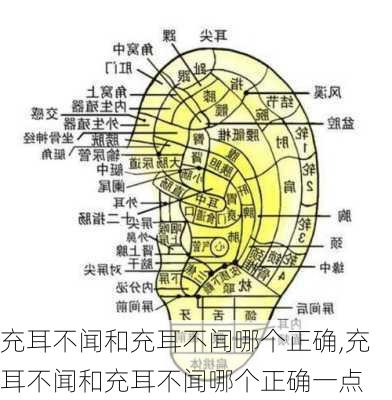 充耳不闻和充耳不闻哪个正确,充耳不闻和充耳不闻哪个正确一点