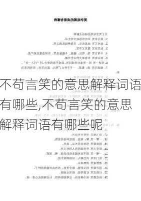 不苟言笑的意思解释词语有哪些,不苟言笑的意思解释词语有哪些呢