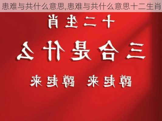 患难与共什么意思,患难与共什么意思十二生肖