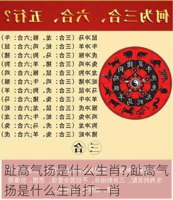 趾高气扬是什么生肖?,趾高气扬是什么生肖打一肖