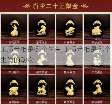 玉质金相是哪个生肖,玉质金相是哪个生肖的动物