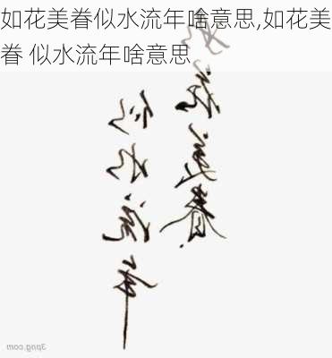 如花美眷似水流年啥意思,如花美眷 似水流年啥意思