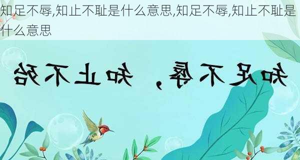 知足不辱,知止不耻是什么意思,知足不辱,知止不耻是什么意思