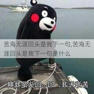 苦海无涯回头是我下一句,苦海无涯回头是我下一句是什么