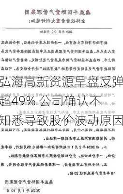 弘海高新资源早盘反弹超49% 公司确认不知悉导致股价波动原因