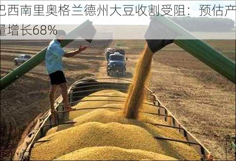 巴西南里奥格兰德州大豆收割受阻：预估产量增长68%