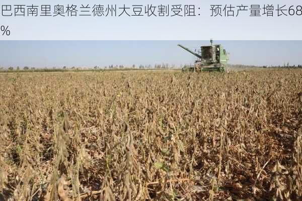 巴西南里奥格兰德州大豆收割受阻：预估产量增长68%