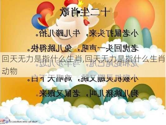 回天无力是指什么生肖,回天无力是指什么生肖动物