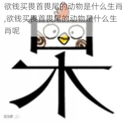 欲钱买畏首畏尾的动物是什么生肖,欲钱买畏首畏尾的动物是什么生肖呢