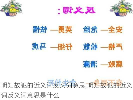 明知故犯的近义词反义词意思,明知故犯的近义词反义词意思是什么