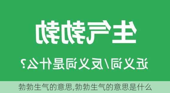 勃勃生气的意思,勃勃生气的意思是什么