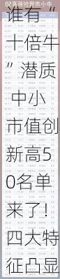 谁有“十倍牛”潜质 中小市值创新高50名单来了！四大特征凸显 这些股获外资新进买入