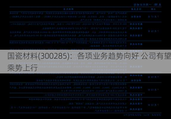 国瓷材料(300285)：各项业务趋势向好 公司有望乘势上行