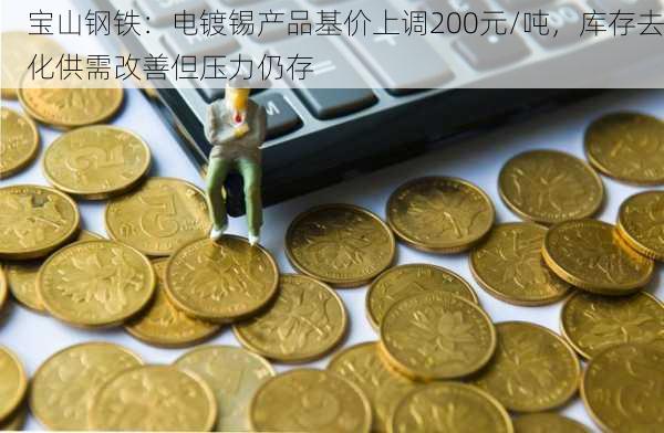 宝山钢铁：电镀锡产品基价上调200元/吨，库存去化供需改善但压力仍存