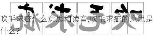 吹毛求疵什么意思和读音,吹毛求疵的意思是什么?