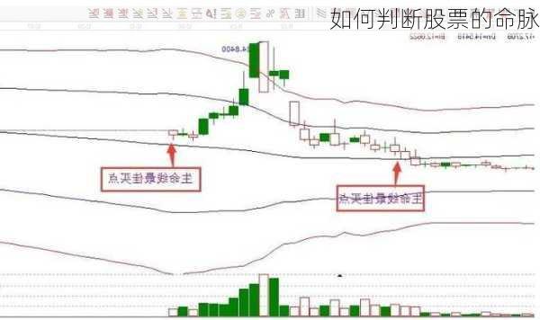 如何判断股票的命脉
