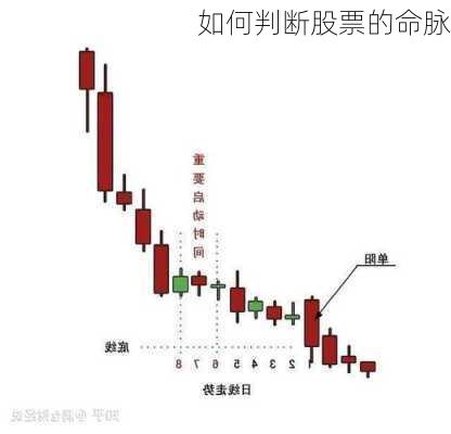 如何判断股票的命脉