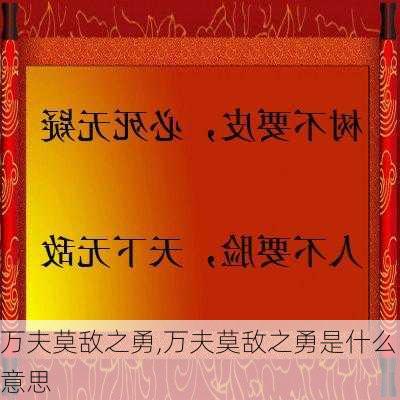 万夫莫敌之勇,万夫莫敌之勇是什么意思