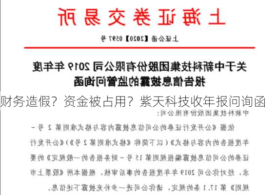 财务造假？资金被占用？紫天科技收年报问询函