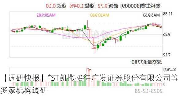 【调研快报】*ST凯撒接待广发证券股份有限公司等多家机构调研