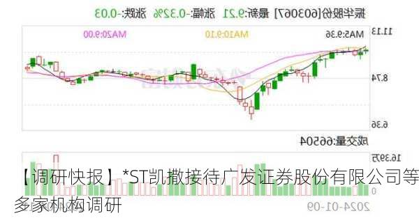 【调研快报】*ST凯撒接待广发证券股份有限公司等多家机构调研