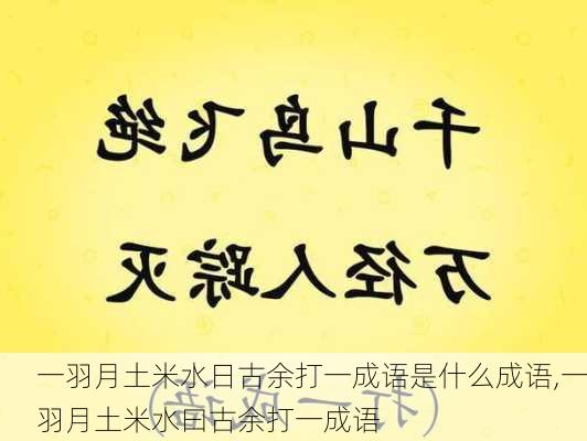 一羽月土米水日古余打一成语是什么成语,一羽月土米水曰古余打一成语