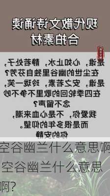 空谷幽兰什么意思啊,空谷幽兰什么意思啊?