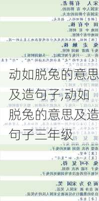 动如脱兔的意思及造句子,动如脱兔的意思及造句子三年级