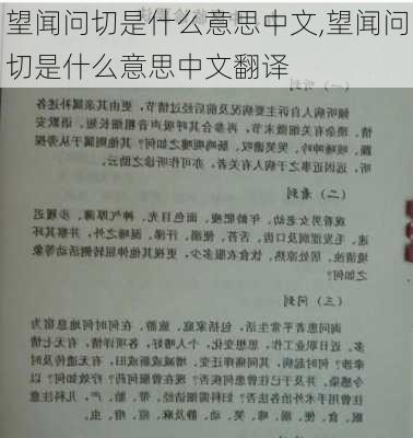 望闻问切是什么意思中文,望闻问切是什么意思中文翻译