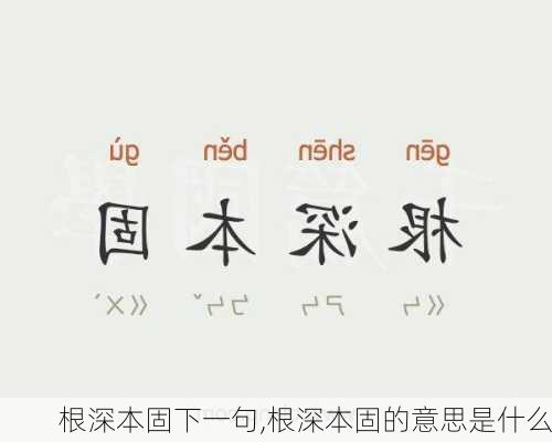 根深本固下一句,根深本固的意思是什么