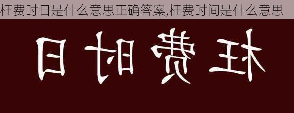 枉费时日是什么意思正确答案,枉费时间是什么意思