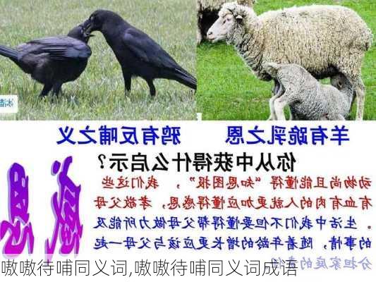 嗷嗷待哺同义词,嗷嗷待哺同义词成语