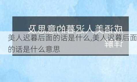 美人迟暮后面的话是什么,美人迟暮后面的话是什么意思