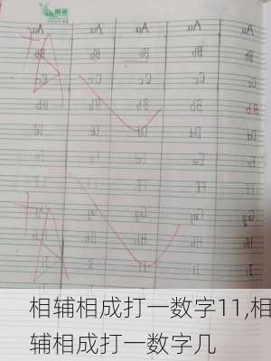 相辅相成打一数字11,相辅相成打一数字几