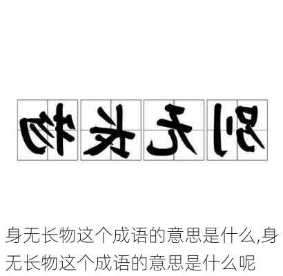 身无长物这个成语的意思是什么,身无长物这个成语的意思是什么呢