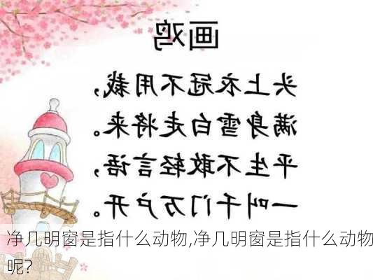 净几明窗是指什么动物,净几明窗是指什么动物呢?